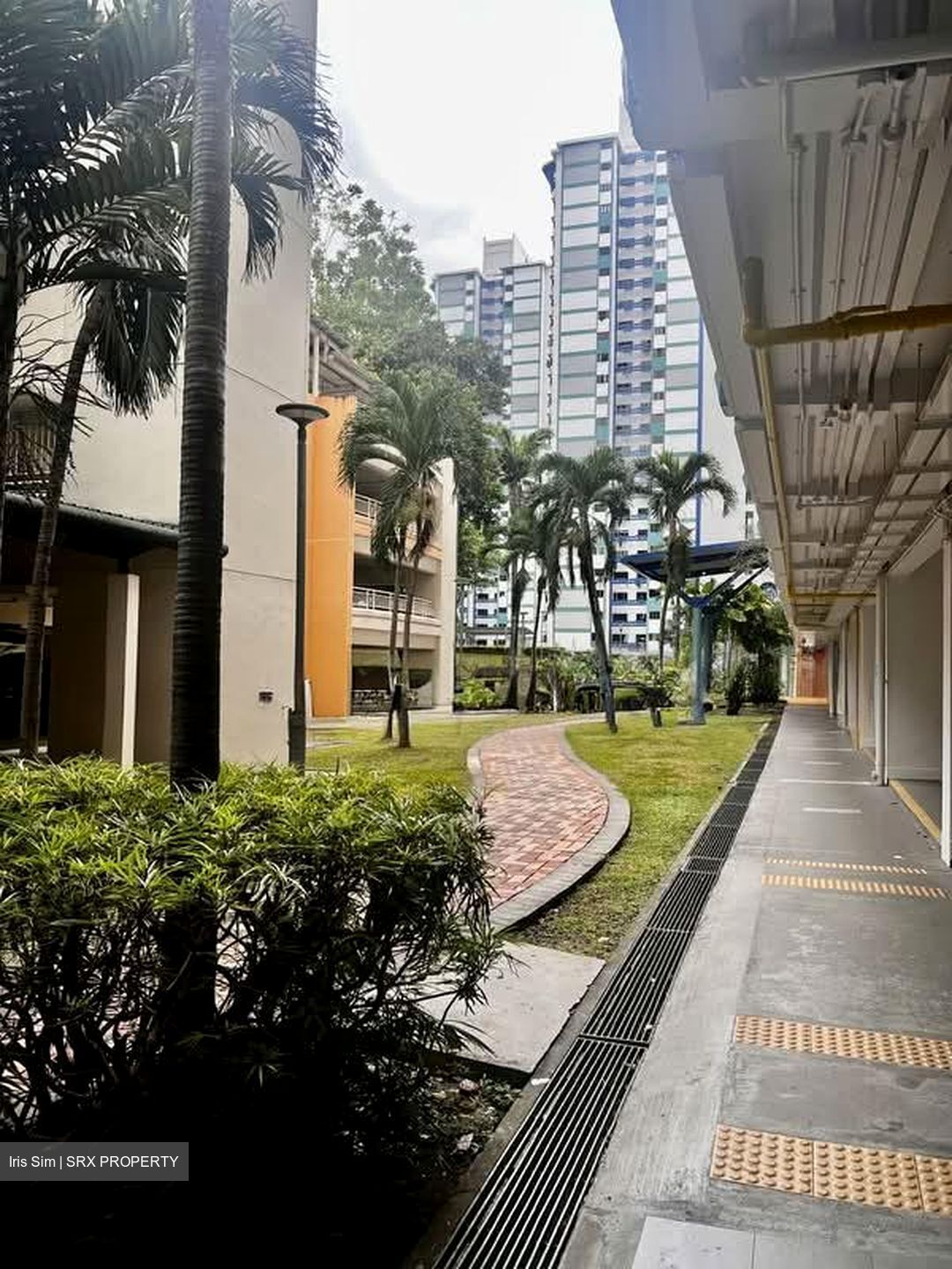 Blk 98 Whampoa View (Toa Payoh), HDB 3 Rooms #576824861